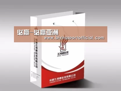 项目名称十三