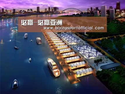 案例展示八